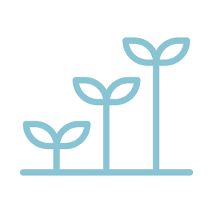learning icon