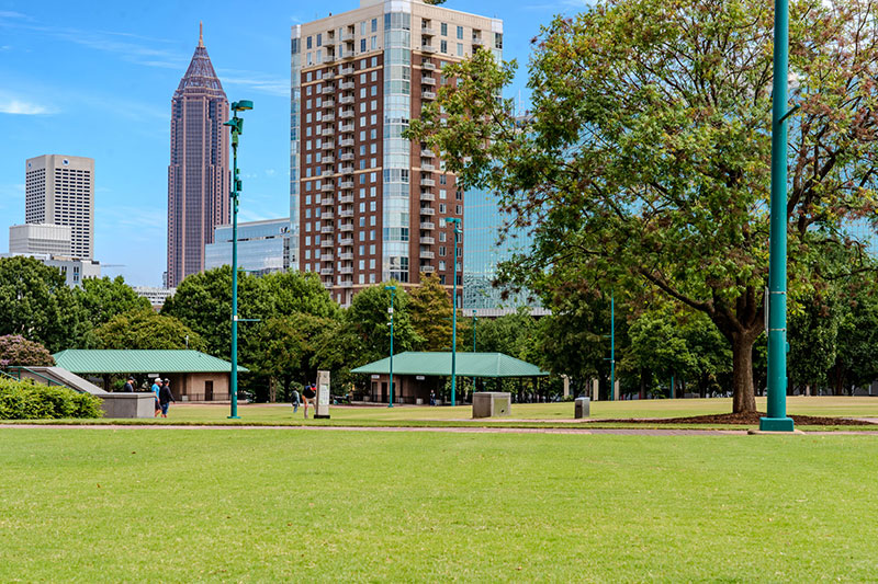 picnic on the great lawn